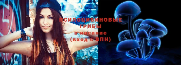 бошки Алексеевка