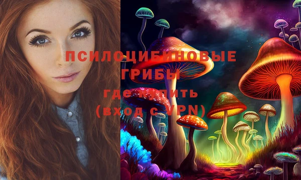 бошки Алексеевка