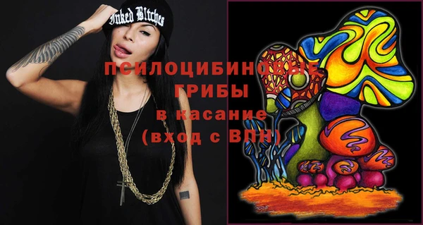 бошки Алексеевка