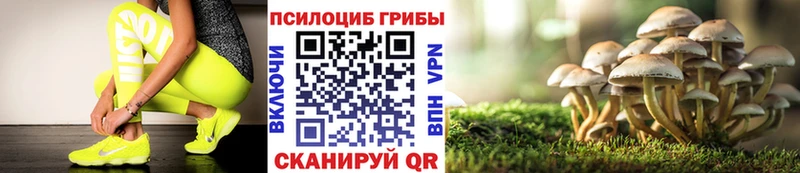 Галлюциногенные грибы прущие грибы  цена наркотик  Невьянск 